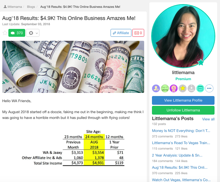 how much money can you earn using affiliate marketing wealthy affiliate success story 2