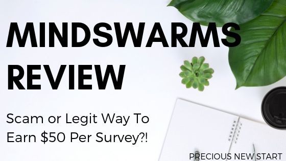 what is mindswarms blog